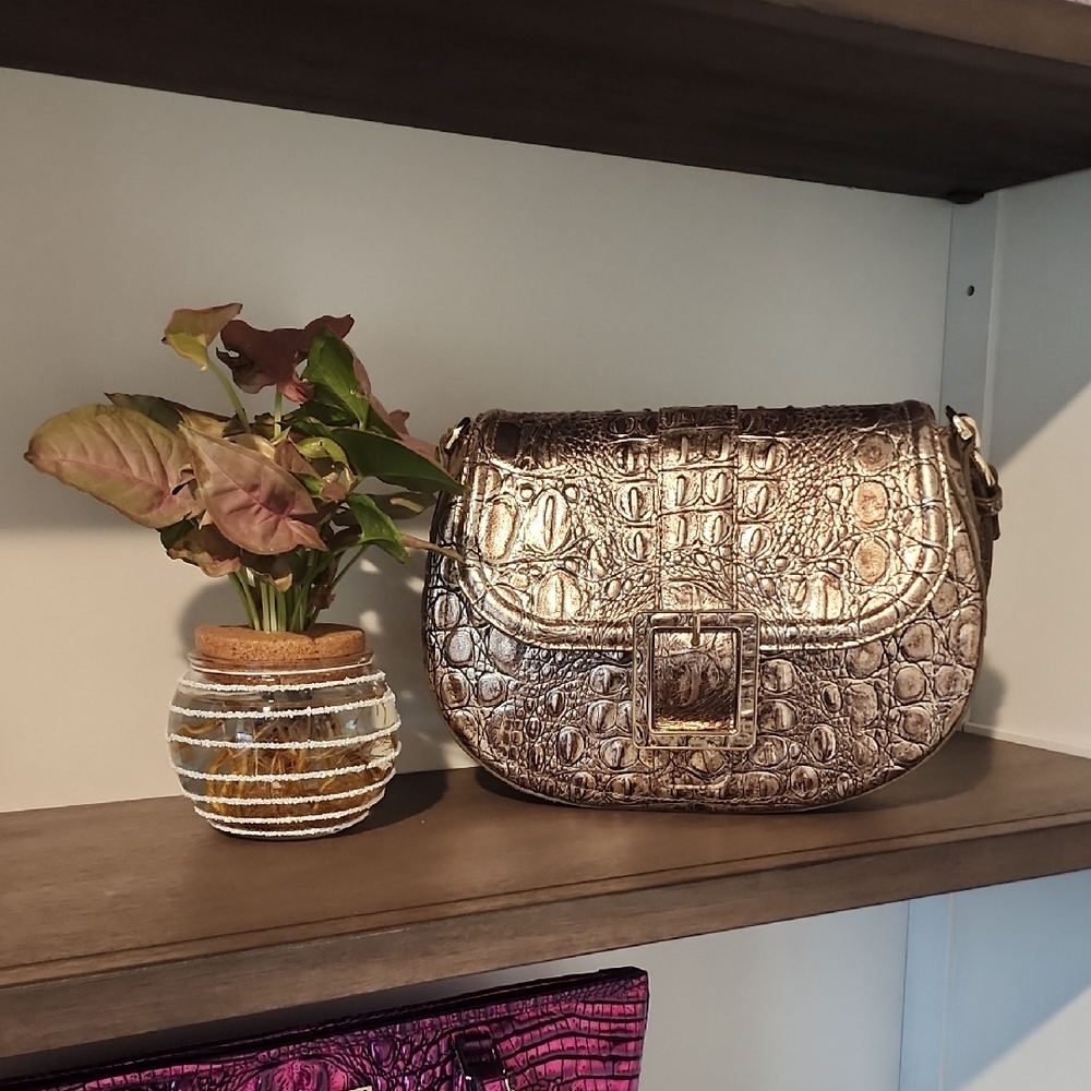 ✨️Brahmin Cyntia Bronze Nebula Genuine Leather✨️